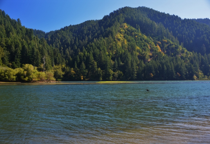 The Umpqua River
